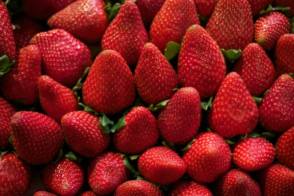 新鲜草莓背景 — 图库照片