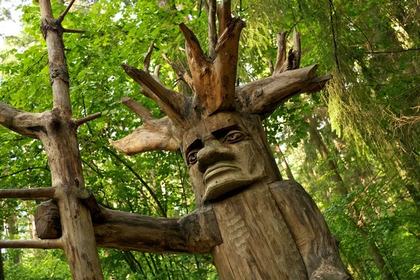 stock image Pagan wooden idol in a woods