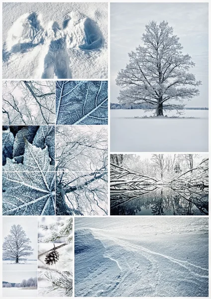 Zima kolaż — Zdjęcie stockowe