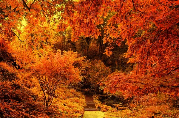 stock image Stair in a autumn park