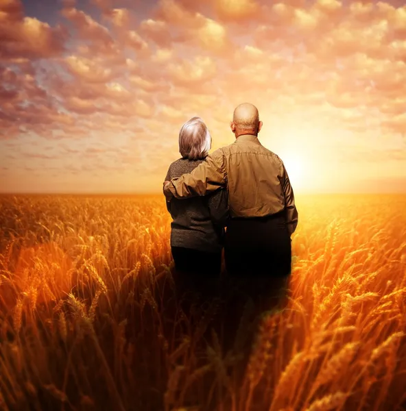 Старшая пара стоит на пшеничном поле на закате — стоковое фото
