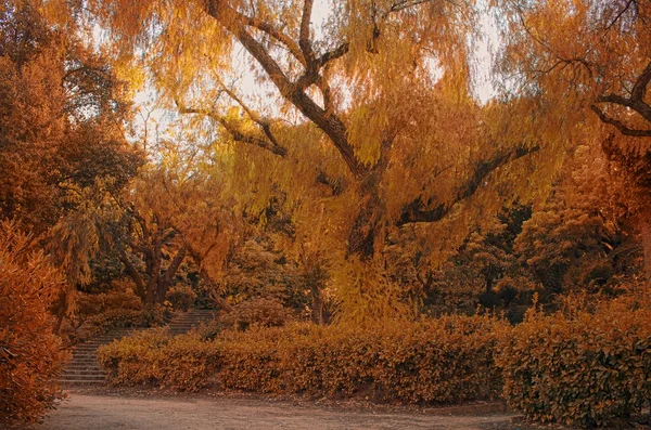 Schodiště v podzimním parku — Stock fotografie