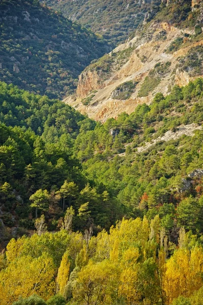 Красивые горные леса — стоковое фото
