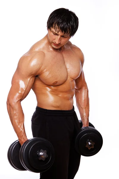 Retrato de homem muscular no fundo branco com halteres — Fotografia de Stock