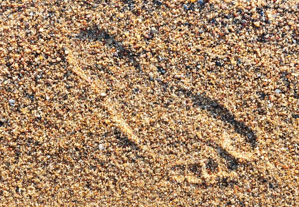 stock image Footprint on sand