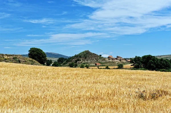 Paisaje rural con campos de trigo y montañas. Puesta de sol. España . — Foto de Stock