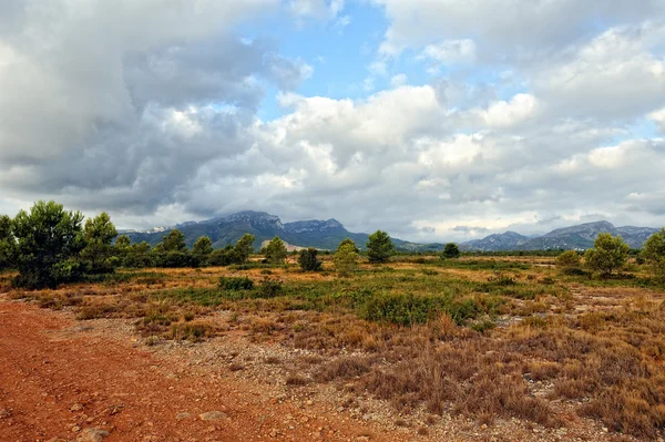 Пейзаж с сельской дорогой в Испании . — стоковое фото