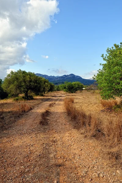 Paisaje suumero con carretera rural en España . — Foto de Stock