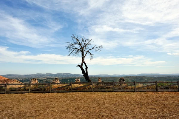 Paisaje con árbol seco con vista a la montaña. Morella en España . — Foto de Stock