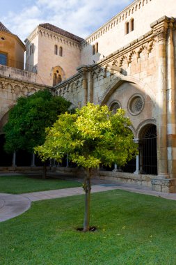 Court yard eski Katedrali, tarragona, İspanya.