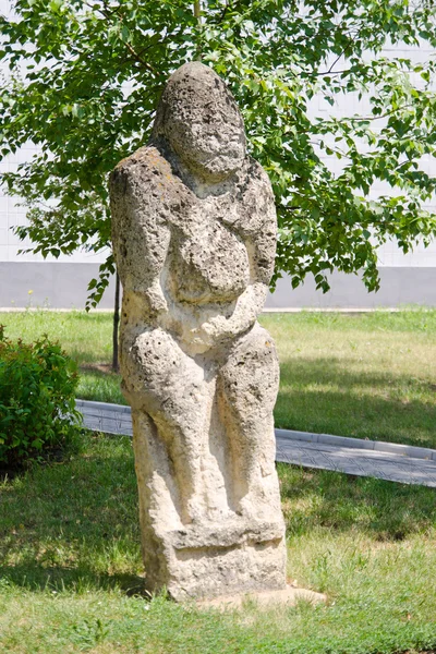 Stenen Polovtsiaanse sculptuur in park-museum van lugansk, Oekraïne — Stockfoto