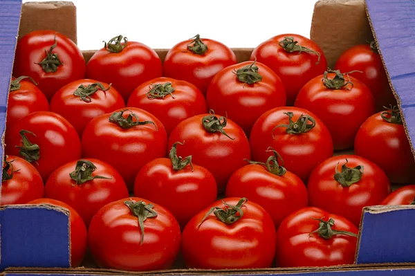 Bir kutu içinde domates — Stok fotoğraf