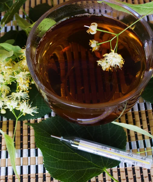 Herbata z lipy i termometr — Zdjęcie stockowe