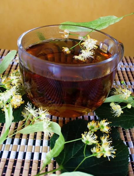 Lipa herbatę z kwiatów lipy świeży — Zdjęcie stockowe