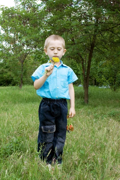 Милый маленький мальчик с одуванчиком — стоковое фото