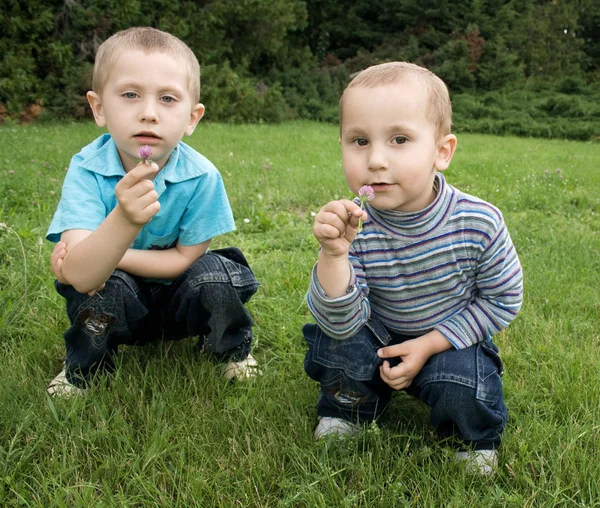 Brothers playing in the meadow — Stock Photo, Image