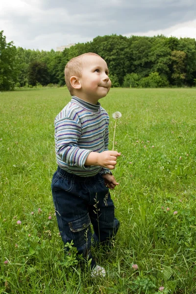 Piękny mały chłopiec bawi się dandelion — Zdjęcie stockowe