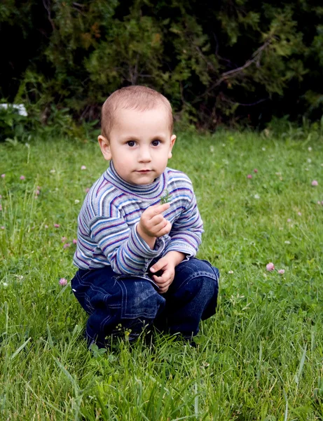 Güzel bir çocuk bir çiçek ile oynama — Stok fotoğraf