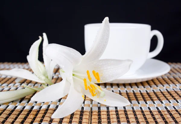 Квітка білої лілії з краплями роси і чашкою чаю — стокове фото