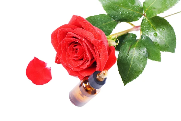 Flessen van etherische olie en rode rose — Stockfoto