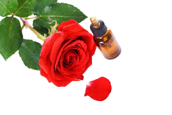 Μπουκάλια αιθέριο έλαιο και το κόκκινο τριαντάφυλλο — Φωτογραφία Αρχείου