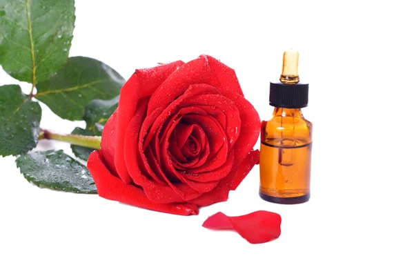 Пляшки ефірної олії та червоної троянди — стокове фото