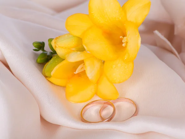 Snubní prsteny a hedvábí květina — Stock fotografie