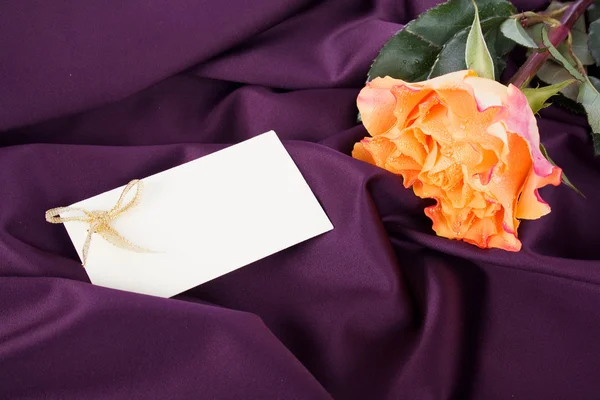 Rosa delicada sobre una delicada seda — Foto de Stock
