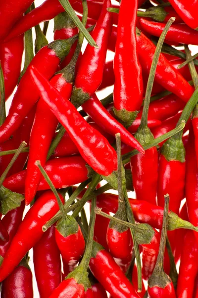 stock image Red chili