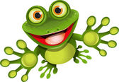 šťastný žába