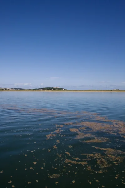 Polluted sea — Stock Photo, Image