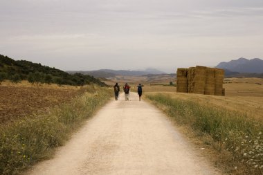 Pilgrims, way of St. James clipart