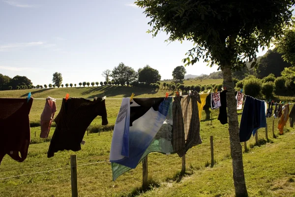 Laundry hanging to dry — Stock Photo, Image