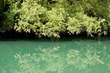 AUSA Nehri, cervignano