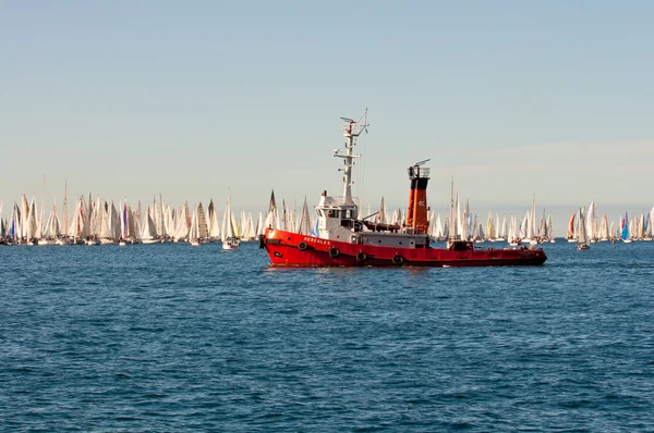 Trieste, Barcolana 2009 - The Trieste regatta — Stock Photo, Image