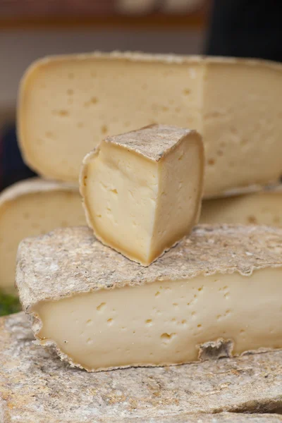 Итальянский сыр — стоковое фото