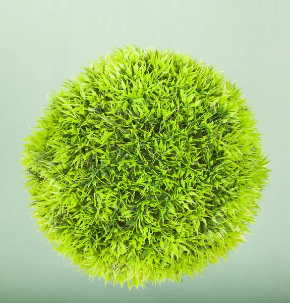 stock image Green ball grass