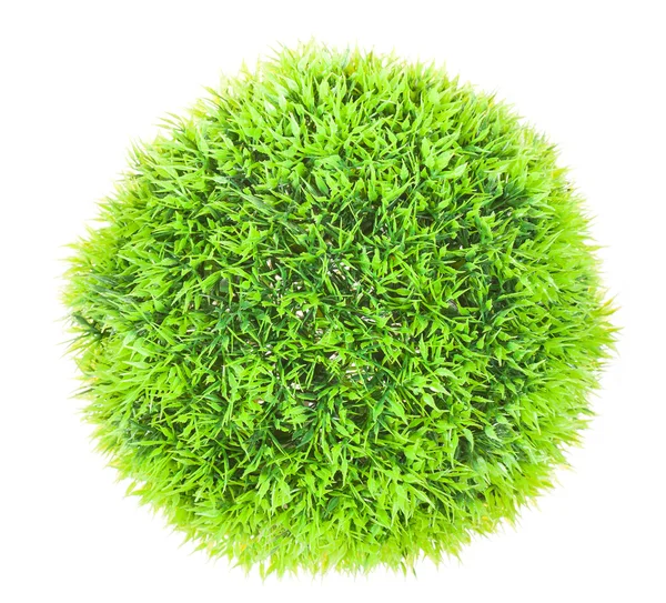 stock image Green ball grass