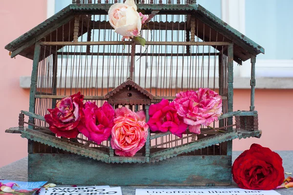 Τριαντάφυλλα μέσα στο κλουβί πουλιών — Φωτογραφία Αρχείου