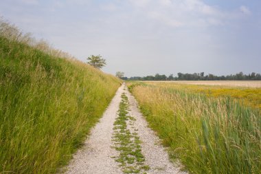 Road in the countryside clipart