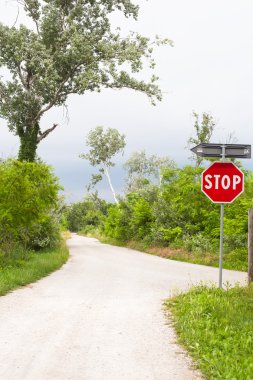 Road in the countryside clipart