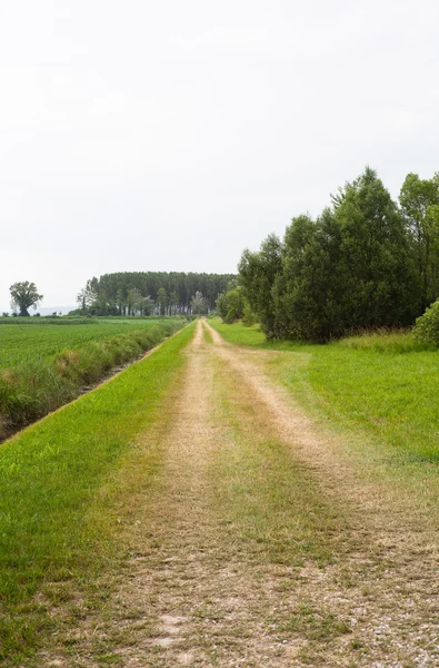 Дорога в сільській місцевості — стокове фото