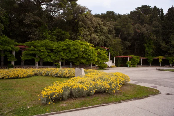 Miramare park in Trieste — Stock Photo, Image