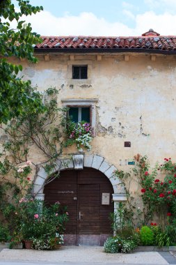 Flowers pots in the facade house clipart