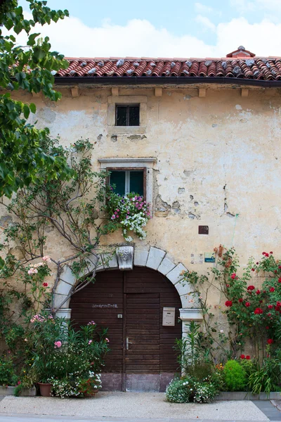 stock image Flowers pots in the facade house
