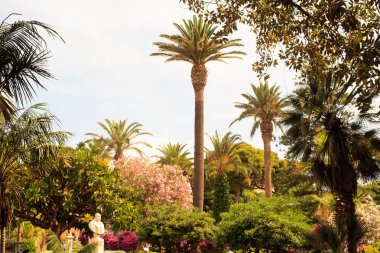 Villa margherita, trapani parkta