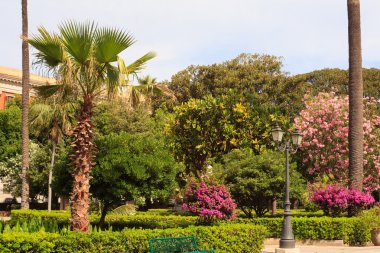 Villa margherita, trapani parkta