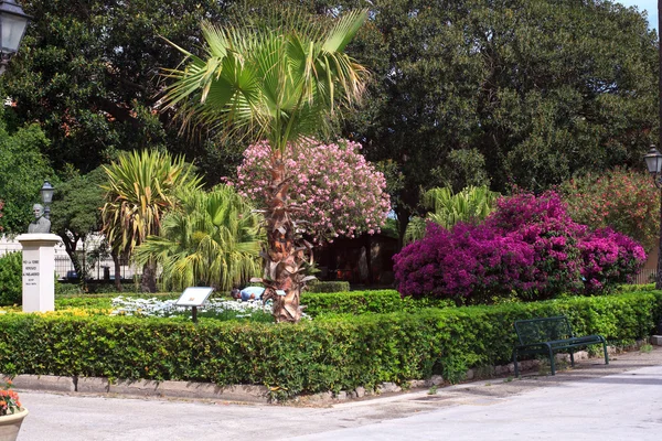 Готель Villa Margherita розташований парк в Трапані — стокове фото