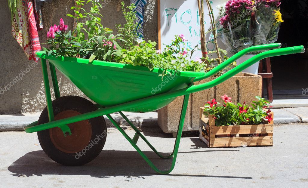 Wheelbarrow with plants — Stock Photo © bepsimage 12109387