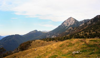 tolminska migovec, Slovenya